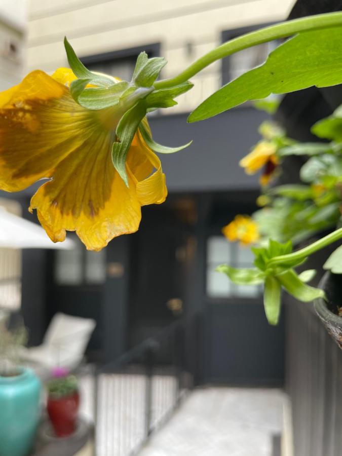 Villa Brown Tel-Aviv, A Member Of Brown Hotels 외부 사진